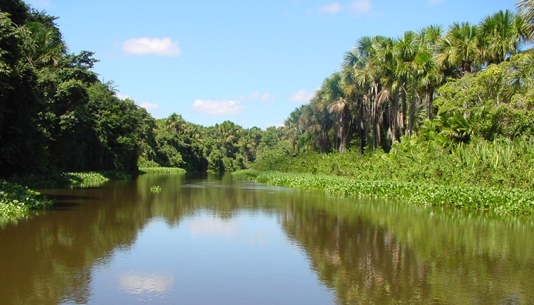 Campamento Orinoco Discovery