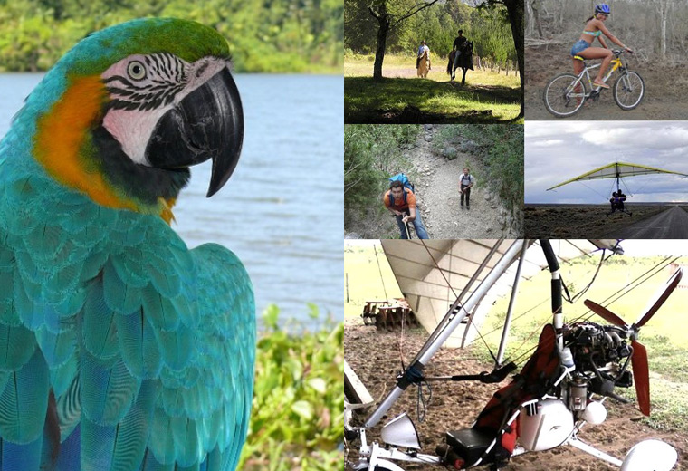 Actividades del Campamento Orinoco Discovery