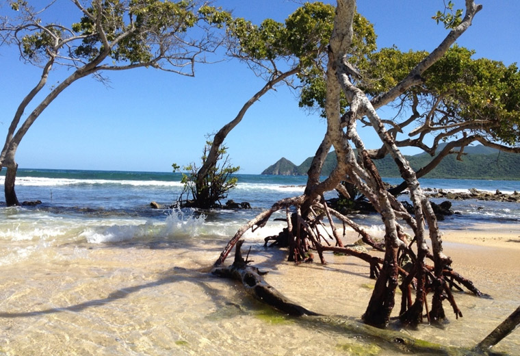 Bahía Patanemo