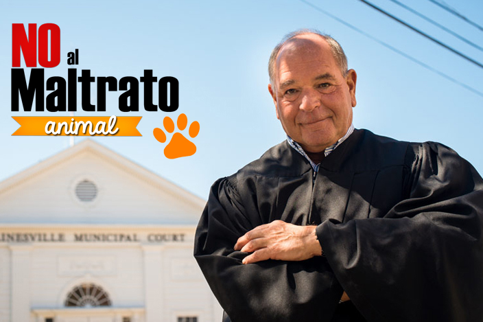 El Juez que castiga el maltrato animal 